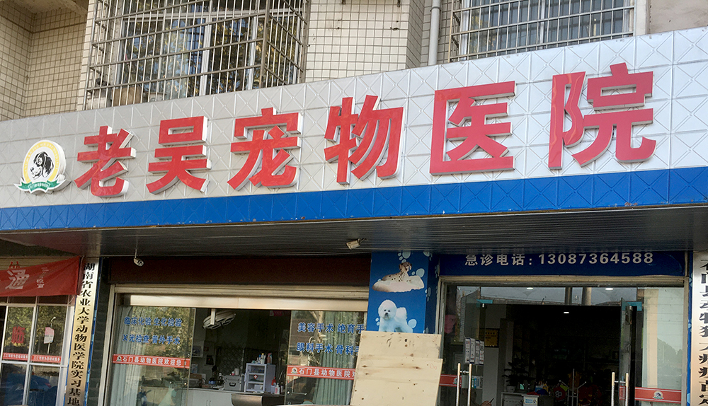 湖南常德老吳寵物醫(yī)院