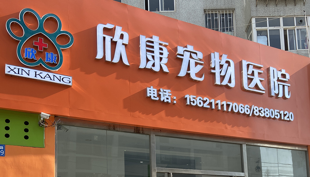 山東青島欣康寵物醫(yī)院