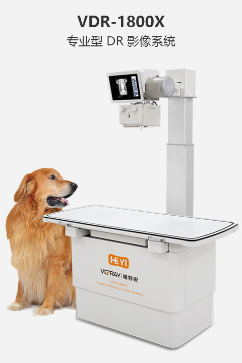 專(zhuān)業(yè)型DR影像系統(tǒng)